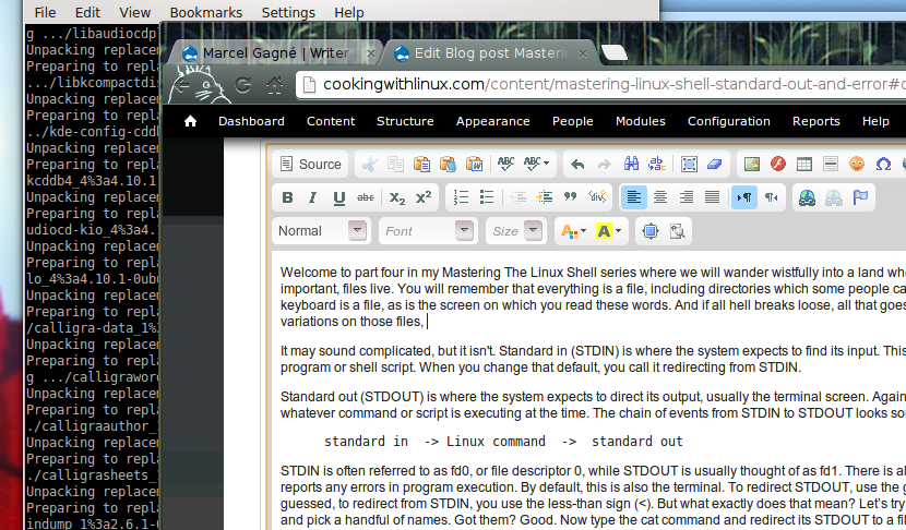 stdin_stdout.png