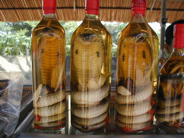 Snake-wine.jpg