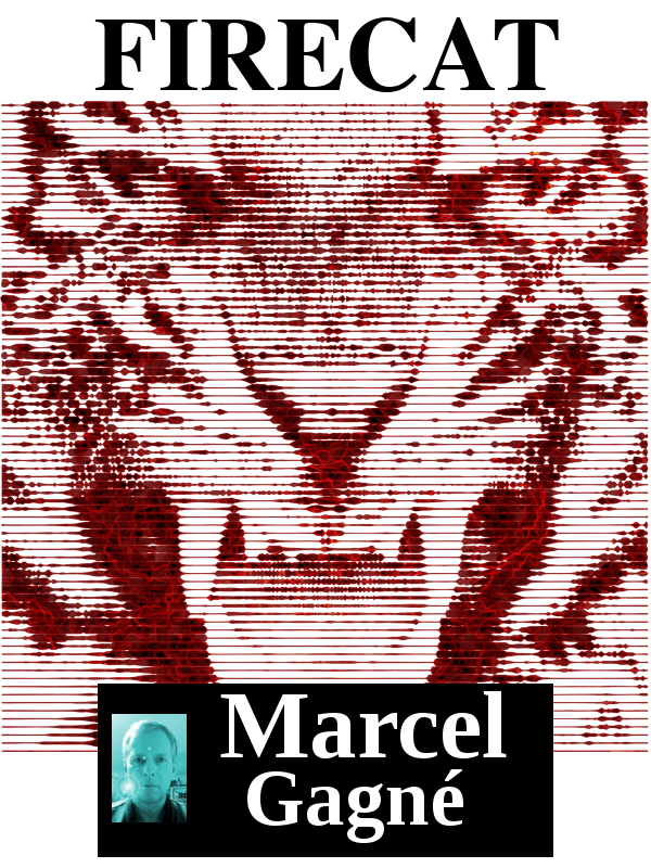 firecat_cover.png