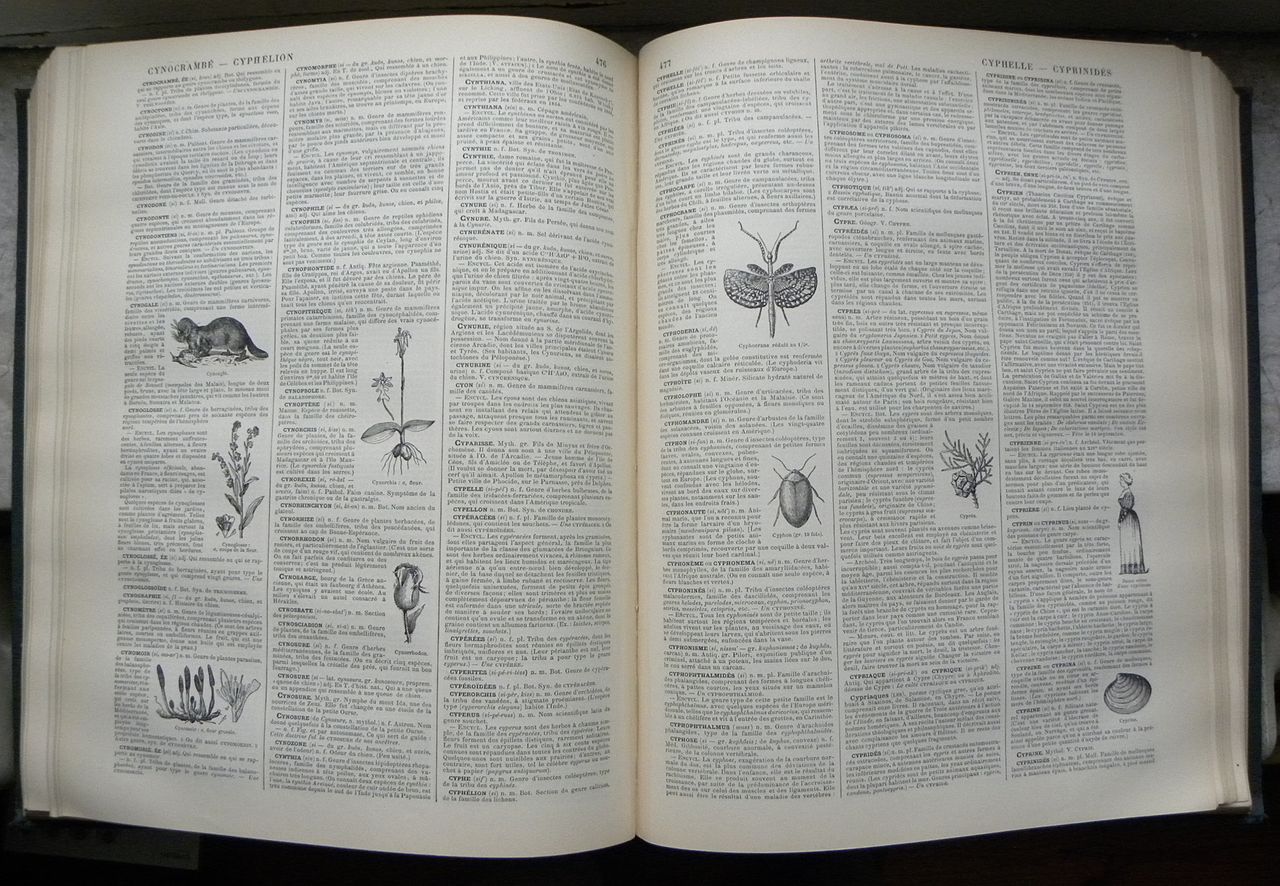 1280px-nouveau_dictionnaire_larousse_page.jpg